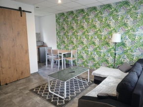Domki - Apartamenty Complex, Zator
